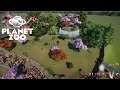 Planet Zoo: SakuraZoo: Fin de l'enclos Tigre du Bengale! #60