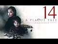 A Plague Tale: Innocence | #14 Blutlinien | XT Gameplay