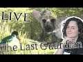 THE LAST GUARDIAN Gameplay Ita Live - FIDUCIA #2 [re-up]