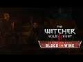 THE WITCHER 3: BLOOD AND WINE ⚔️ REGIS?! Keine gute Idee... | #214