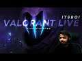 Hey There! Valorant Live | Giveaway Soon!