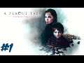 A Plague Tale: Innocence   Gameplay PC  GamePlay  I.The de rune legacy