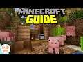 SEMI-AUTO PIG FARM | Minecraft Guide Episode 69 (Minecraft 1.15.2 Lets Play)