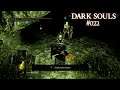 Patches du Hund! - Let's Play Dark Souls: Remastered