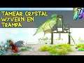 Tamear Wyvern en Trampa | Camino al Crystal Wyvern [#7] | ARK CRYSTAL ISLES | Servidor Oficial PVE