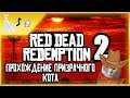 Red Dead Redemption 2 ► Прохождение Призрачного Кота #9