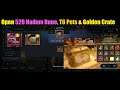 Black Desert Mobile Opening 520 Hadum Runes, T6 Pets & Golden Crates