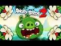 ЦВЕТОЧКИ ЖГУТ! БИТВА ЗЛЫХ ПТИЦ И СВИНТУСОВ в игре Angry Birds 2