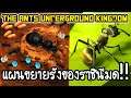 The Ants Underground Kingdom - แผนขยายรังของราชินีมด!! [ เกมส์มือถือ ]