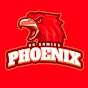 Phoenix BK Gaming