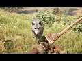 Far Cry® Primal my pet white wolf