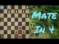 chess problem mate in four