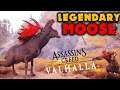 Assassins Creed Valhalla Vinland Moose  - Legendary Creature Guide