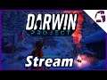 DARWIN PROJECT Stream (PS4/Deutsch)
