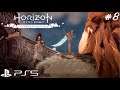 Horizon Zero Dawn PS5 #8 - O FORTE CARJA!!!