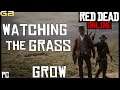 Red Dead Online Watching The Grass Grow