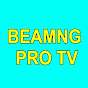 Beamng Pro TV
