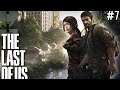 The Last of Us - Part 7