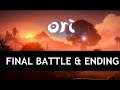 Ori and The Will Of The Wisps (PC) Final Battle & Ending