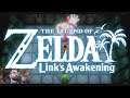 Link's Awakening - Bottle Grotto HD
