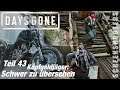 Days Gone - Teil 43 - Kopfgeldjäger: "Schwer zu übersehen" - Gameplay deutsch