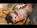 Cute baby Lary with mom Loni by no skill help protect her baby for get healthy