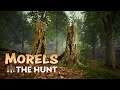 Morels: The Hunt - Настало время грибников 🍄🍁