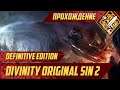 Прощай Радость - Divinity Original Sin II Definitive Edition #15