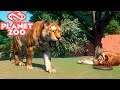 REFORMO UN ZOO!! | Planet Zoo
