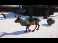 Planet Zoo (PC)(English) #84 6 Minutes of Reindeer