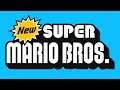 Level Complete - New Super Mario Bros.