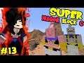 ONTO THE BUU SAGA! || Minecraft Super Dragon Block C Episode 13