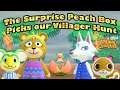 The Surprise Peach Box Picks Our Villager Hunt // Animal Crossing new Horizons
