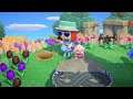 Animal Crossing: New Horizons [Day 523]