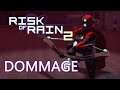 DOMMAGE - Risk of Rain 2