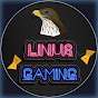HawK_LinuS Gaming