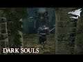 Dark Souls Randomizer Part 14: WE BE KING SEEKING NOW