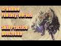 Granblue Fantasy: Versus - No.12 Skill Practice (Beelzebub)