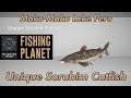 Unique Sorubim Catfish - Maku-Maku Lake Peru - Fishing Planet