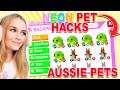 How To Make Your LEGENDARY AUSSIE PET NEON FAST In Adopt Me! (Roblox)