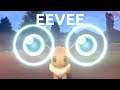 Pokemon Review #196/400 - Eevee