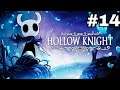 Hollow Knight capitulo #14