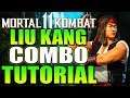 Mortal Kombat 11 Liu Kang Combo Tutorial - Liu Kang Jump Kick Corner Combo Guide Daryus P