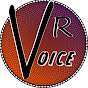 Mr VR Voice
