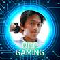 RCC Gaming
