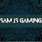 Sam is gaming