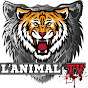 L'Animal TV