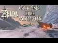 Gorons, Epée & Zoiseaux - Zelda Breath of the Wild