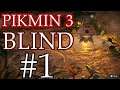 Rumin Plays Pikmin 3 Deluxe BLIND! [#1]