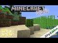Minecraft World #014 - Kleiner grüner Kaktus | Minecraft 1.14